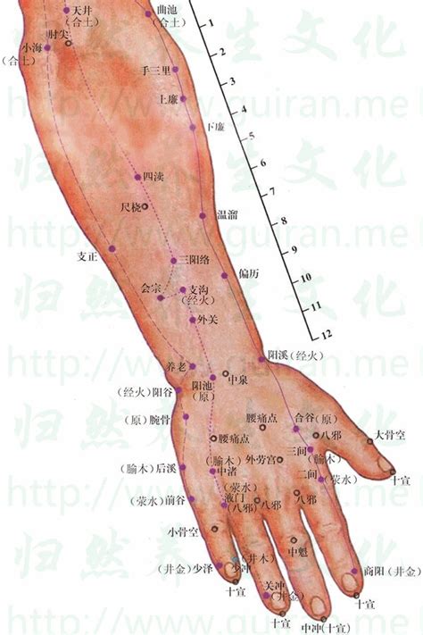 穴位|穴位